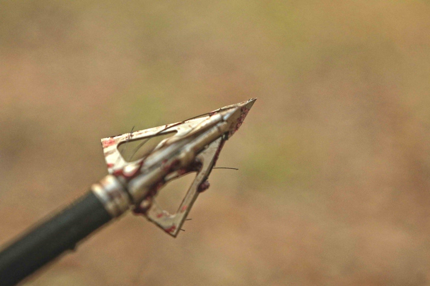 BROADHEAD SELECTION 101 FIXED OR MECHANICAL? TruGlo