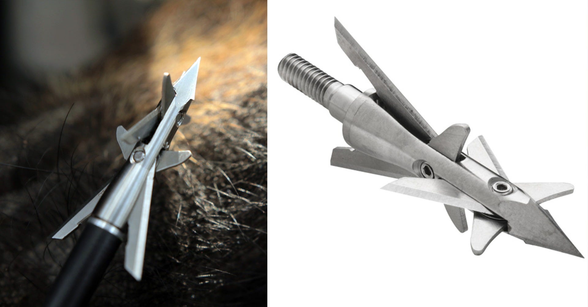 FIELD TEST TRUGLO TITANIUM X CROSSBOW BROADHEADS TruGlo