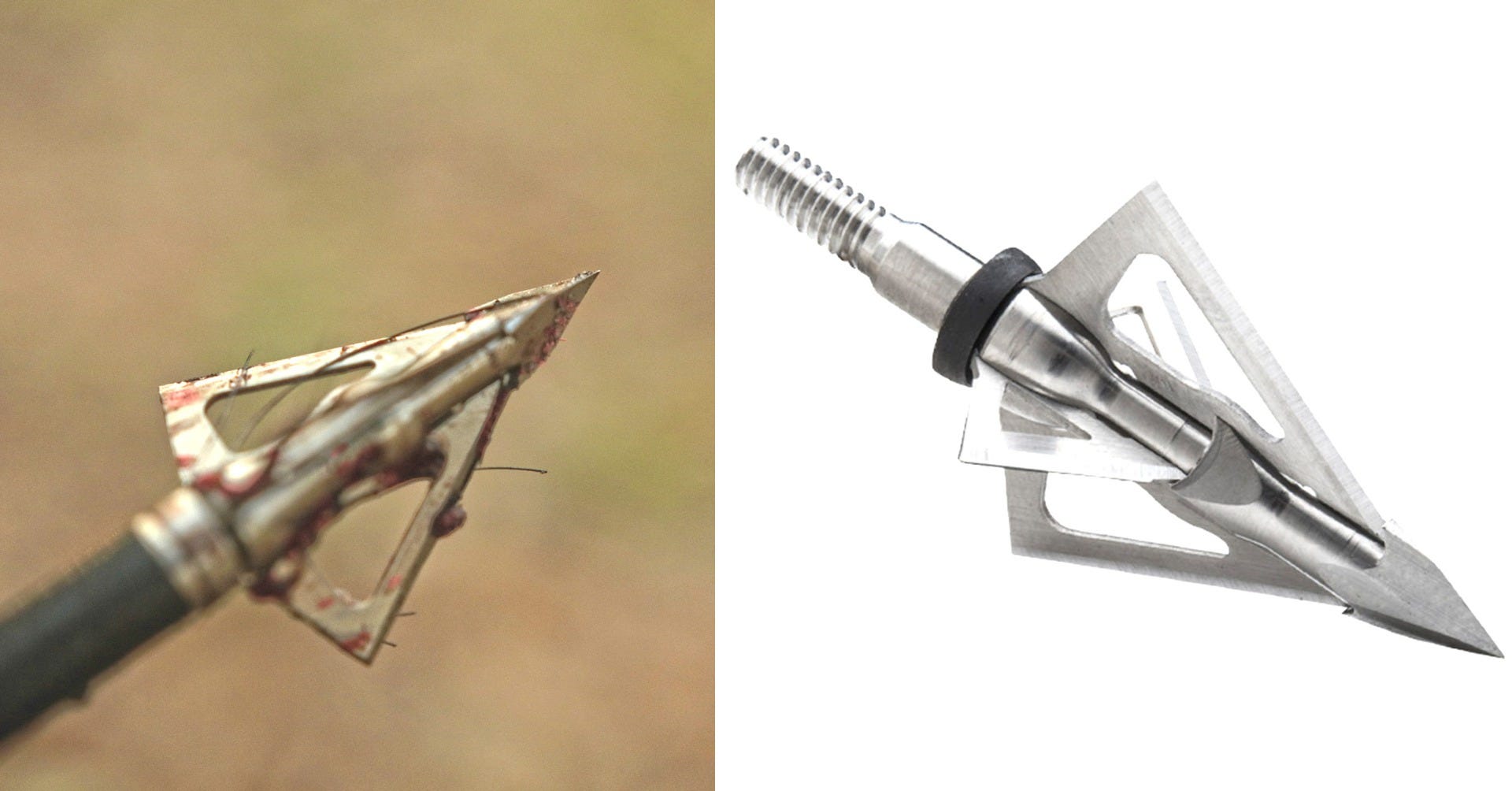 FIELD TEST TRUGLO TITANIUM X CROSSBOW BROADHEADS TruGlo